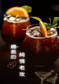 总裁的纯情哑妻小说